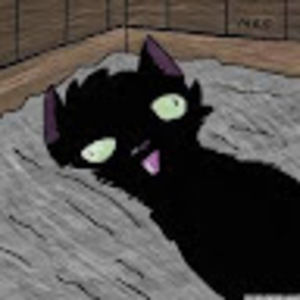 Meet your Posher, Nathan